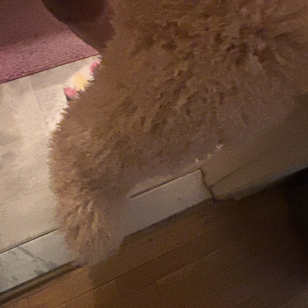 Fluffy Beige Teddy Bear